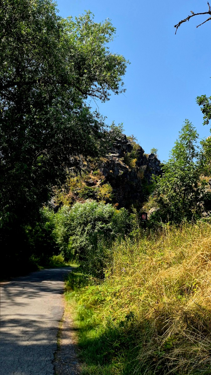 Divoká Šárka